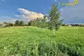 Parcelas  Dziamidavicki sielski Saviet, Belarús