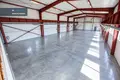 Коммерческое помещение 1 497 м² в Nemezis, Литва