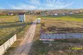 Almacén  en Piatryskauski sielski Saviet, Belarús