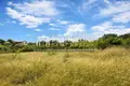 Земельные участки 8 000 м² Неа Рода, Греция
