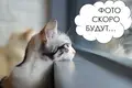 3 room apartment 63 m² Minsk, Belarus