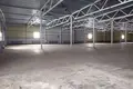 Warehouse 1 room 2 437 m² in Vialikaje Sciklieva, Belarus