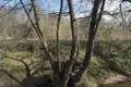 Земельные участки  Демидовичский сельский Совет, Беларусь