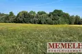 Działki  Zvelsenai, Litwa