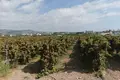 Land  Peyia, Cyprus