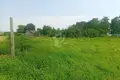   Добринёвский сельский Совет, Беларусь