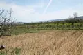 Działki 4 170 m² Plano, Chorwacja