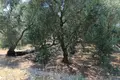 Земельные участки 1 комната  Рода, Греция