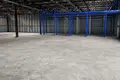 Gewerbefläche 3 331 m² in Alitten, Litauen