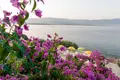 Maison 6 chambres 240 m² Grad Trogir, Croatie