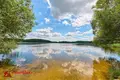 Коттедж 250 м² Юзуфовский сельский Совет, Беларусь