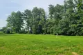 Land 5 000 m² Albertowsko, Poland