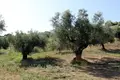 Parcelas 1 habitación 2 500 m² Agios Nikolaos, Grecia