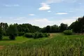 Parcelas 31 500 m² Buszewo, Polonia
