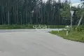 Grundstück 1 100 m² Gorodetsky District, Russland