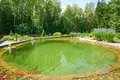 Cottage 196 m² Cudzienicy, Belarus