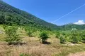 Działki 42 253 m² Mihalj, Chorwacja