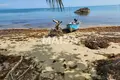 Parcelas  Sabana de la Mar, República Dominicana