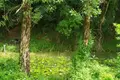 Земельные участки  Даниловград, Черногория