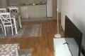 Appartement 1 chambre 50 m² Podgorica, Monténégro