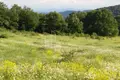 Atterrir 450 m² Tbilissi, Géorgie