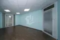 Commercial property 220 m² in Minsk, Belarus