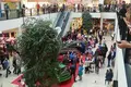 Nieruchomości komercyjne 13 975 m² Hecklingen, Niemcy