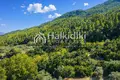 Parcelas 13 365 m² Municipality of Sithonia, Grecia