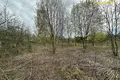 Działki  Piatryskauski sielski Saviet, Białoruś