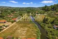 Atterrir 7 000 m² Nikiti, Grèce