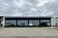 Коммерческое помещение 1 комната 500 м² в Тбилиси, Грузия