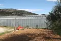 Produktion 3 060 m² Kastel Stafilic, Kroatien