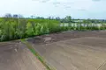 Atterrir 1 293 m² Zabno, Pologne