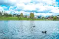 Grundstück  Zdanovicki sielski Saviet, Belarus