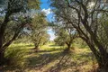 Parcelas 4 054 m² Nea Triglia, Grecia