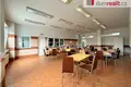 Commercial property 22 351 m² in Pravetin, Czech Republic