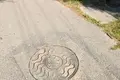 Grundstück  Novy Dvor, Belarus