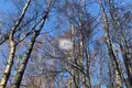 Grundstück  Rauschen, Russland