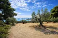 Atterrir 4 010 m² Moles Kalyves, Grèce