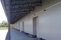 Nieruchomości komercyjne 11 365 m² Wełykodołynśke, Ukraina