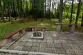 House 85 m² in Blonskiy selskiy Sovet, Belarus