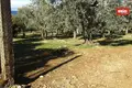 Atterrir 1 chambre 12 000 m² Thassos Municipality, Grèce