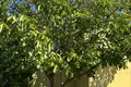 Дом 2 спальни 126 м² Epanomi, Греция