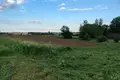 Haus 64 m² Sieleucy, Belarus