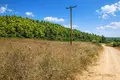 Land 4 500 m² Kassandrino, Greece