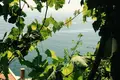 4 bedroom house 280 m² Ulcinj, Montenegro