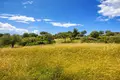 Działki 8 000 m² Megali Panagia, Grecja