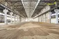 Manufacture 12 000 m² in Novalukoml, Belarus