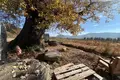 Земельные участки  Кварели, Грузия