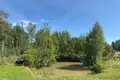 Dom 3 pokoi 59 m² Skrundas pagasts, Łotwa